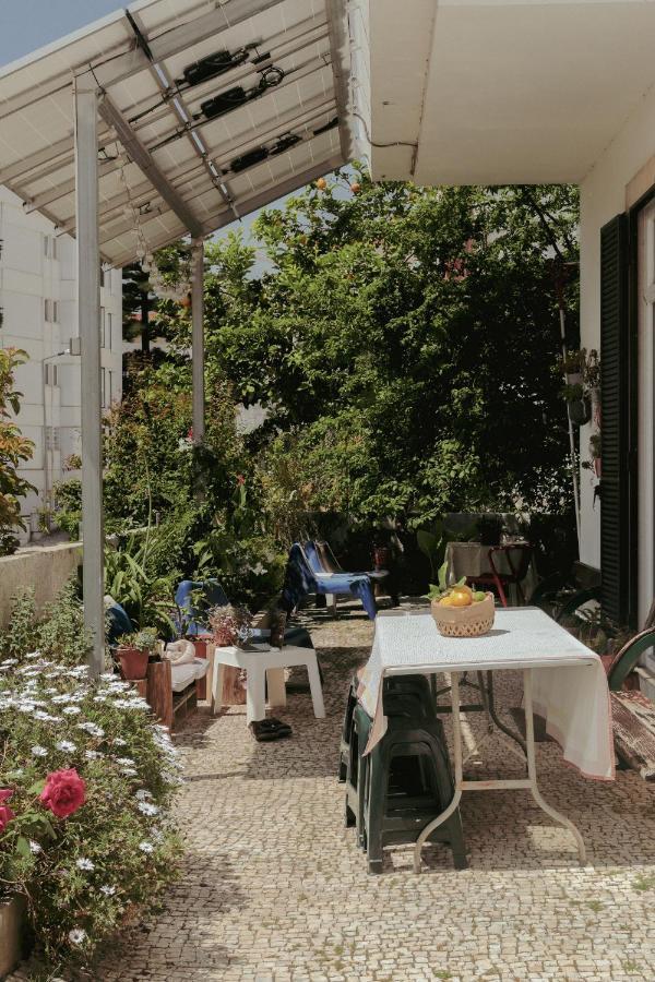 Coimbra Erasmus House - Guest House Eksteriør bilde